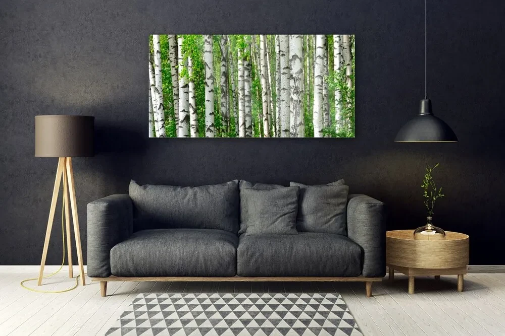 Obraz Szklany Las Roślina Natura Drzewa