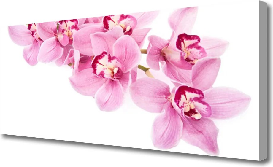 Obraz canvas Pełnia Kwiatowej Natury