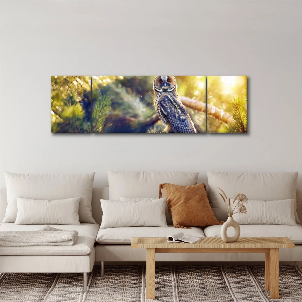 Obraz sowy na drzewie (170x50 cm)