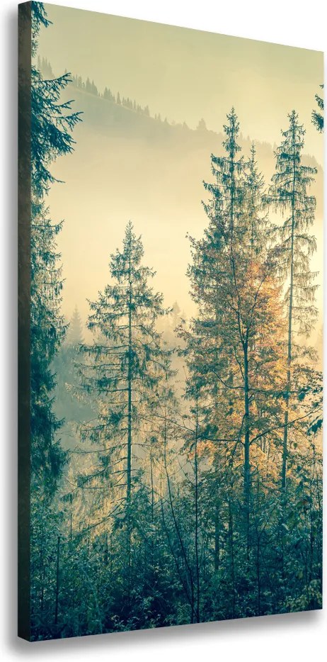 Foto obraz na płótnie pionowy Mgła nad lasem