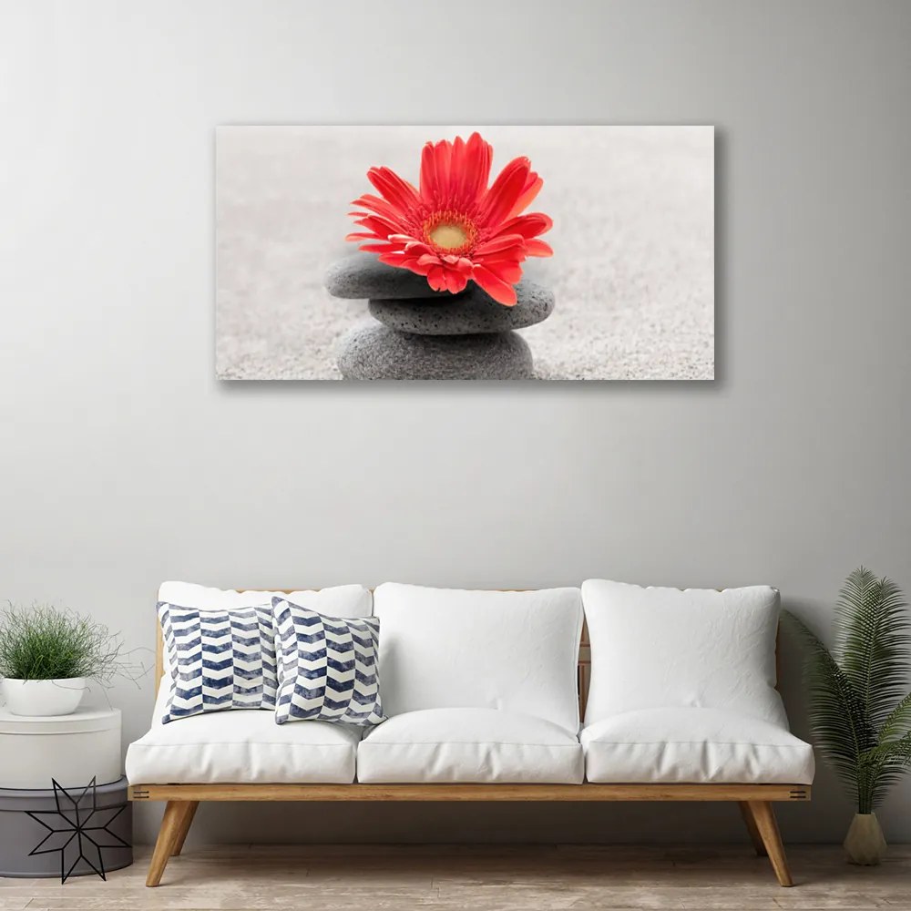 Obraz canvas Radosna Gerbera w Detalu