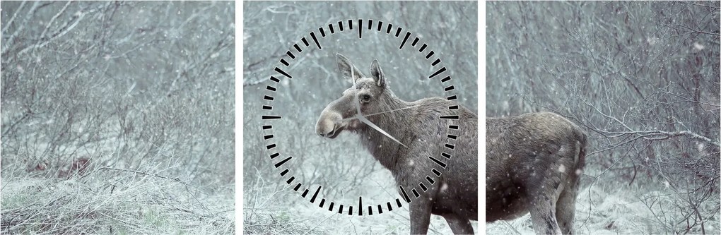 Obraz - Łoś w śnieżnym lesie (z zegarem) (90x30 cm)