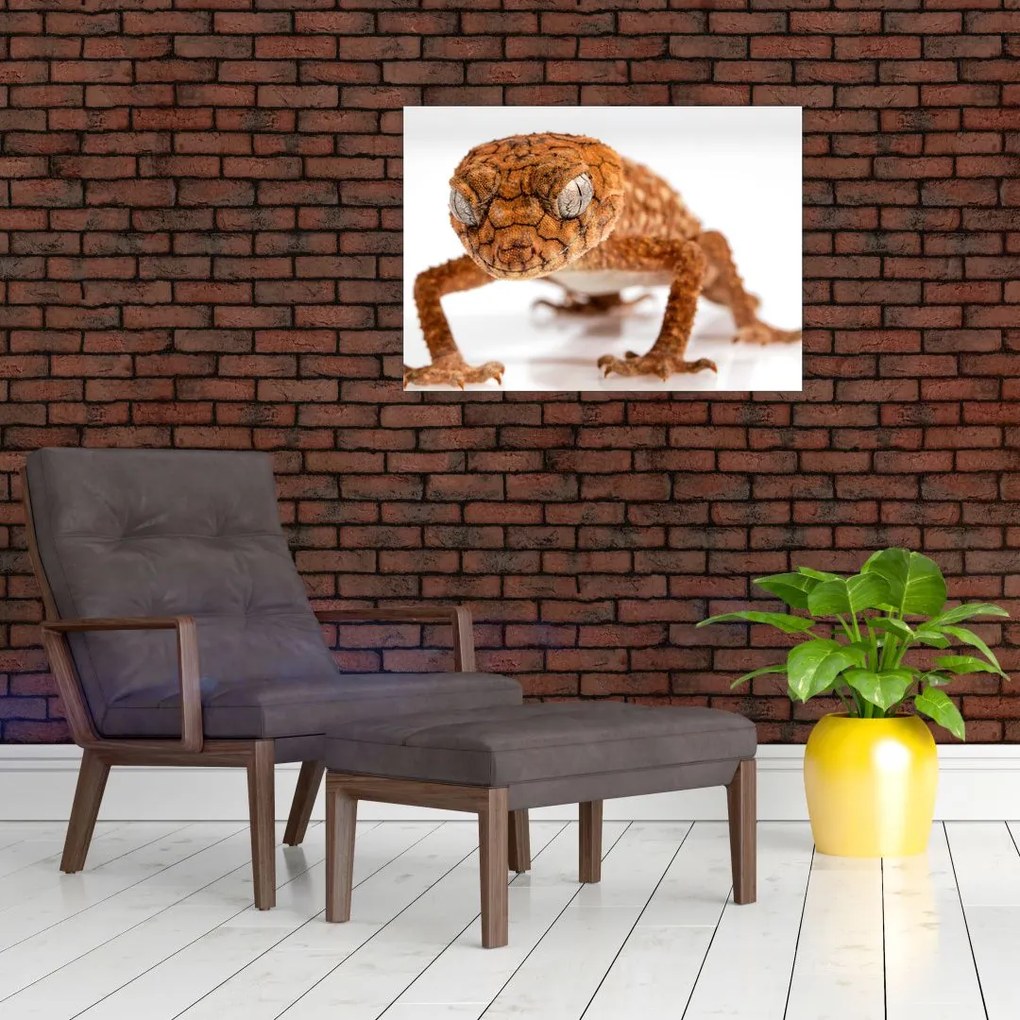 Obraz na szkle jaszczurki (70x50 cm)