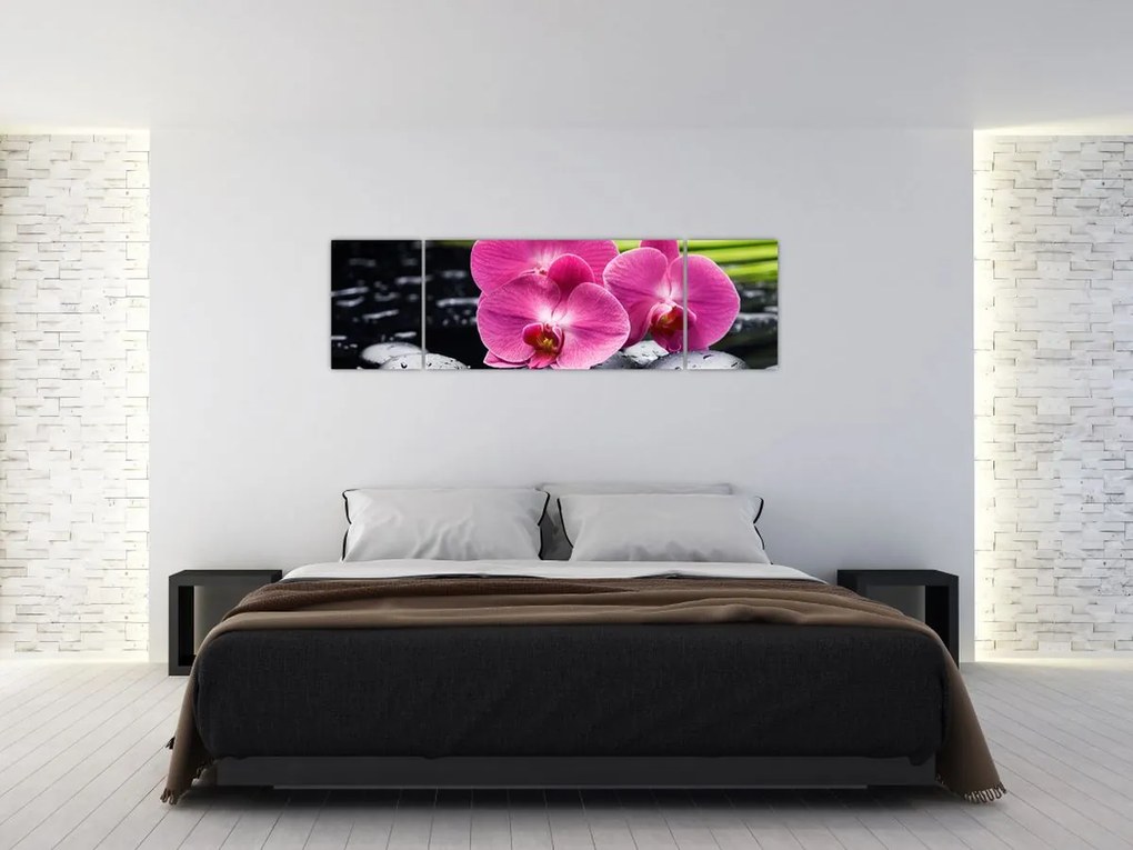 Obraz - Różowe orchidee z liściem palmy (170x50 cm)