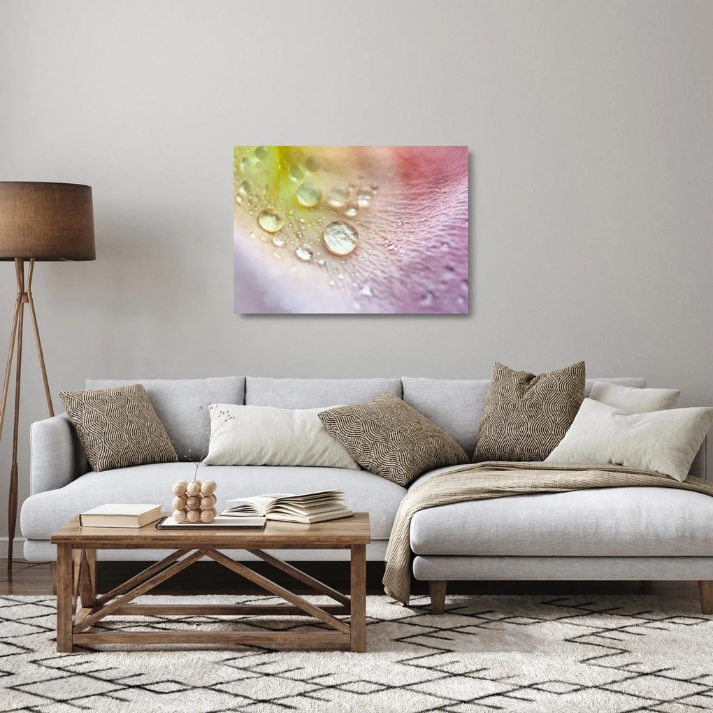 Obraz na szkle - Krople rosy (70x50 cm)
