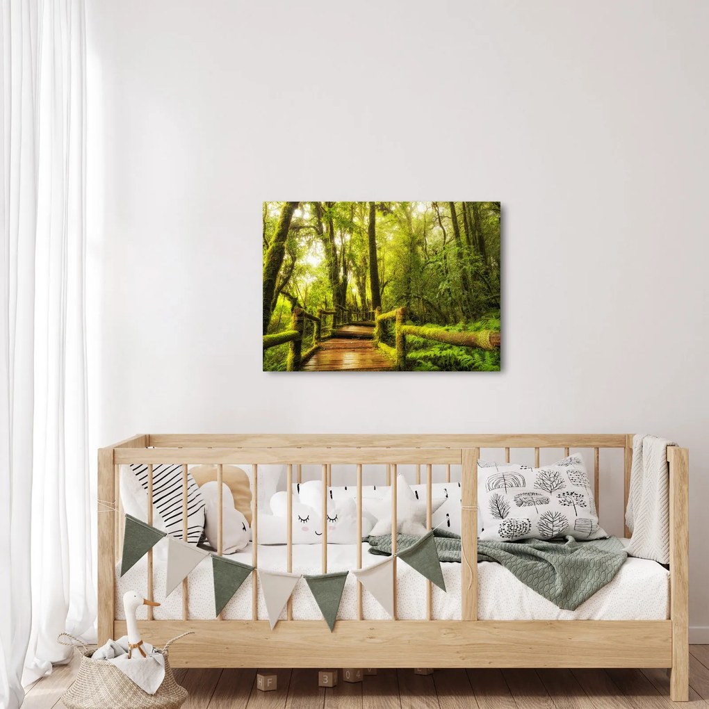 Obraz omszałej dżungli (70x50 cm)