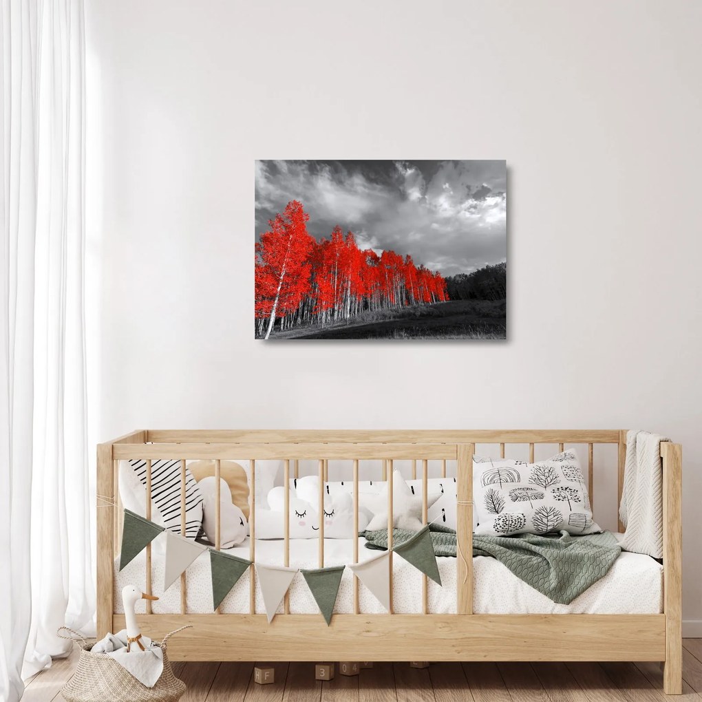 Obraz na szkle - Drzewa w kolorze jesieni (70x50 cm)