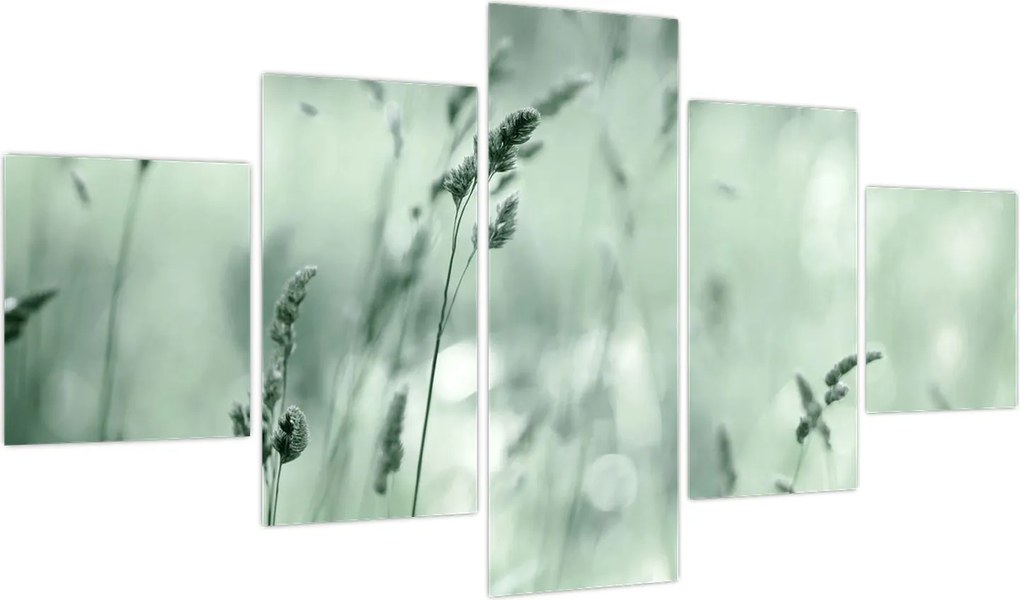 Obraz - Zielona łąka (125x70 cm)