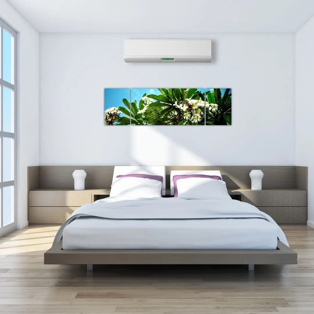 Obraz - Plumeria (170x50 cm)