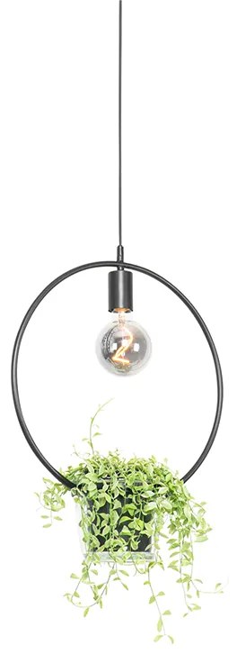 Nowoczesna lampa wisząca czarna ze szklaną okrągłą - Roslini Nowoczesny Oswietlenie wewnetrzne