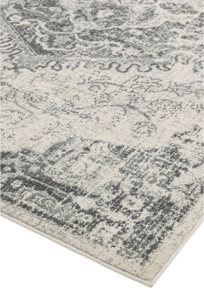 Szary/kremowy dywan 120x170 cm Nova – Asiatic Carpets