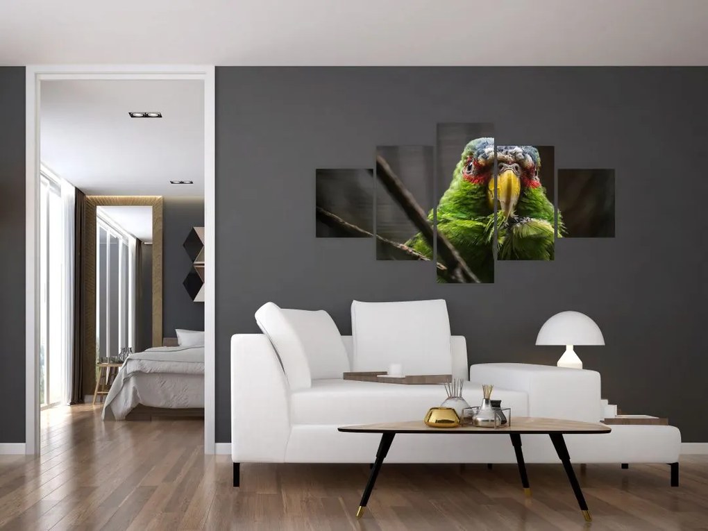 Obraz papugi (125x70 cm)