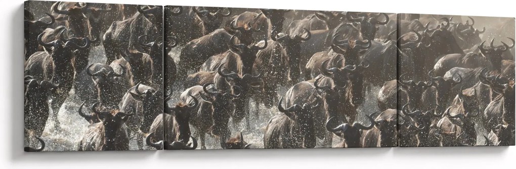 Obraz - Stado antylop gnu (170x50 cm)