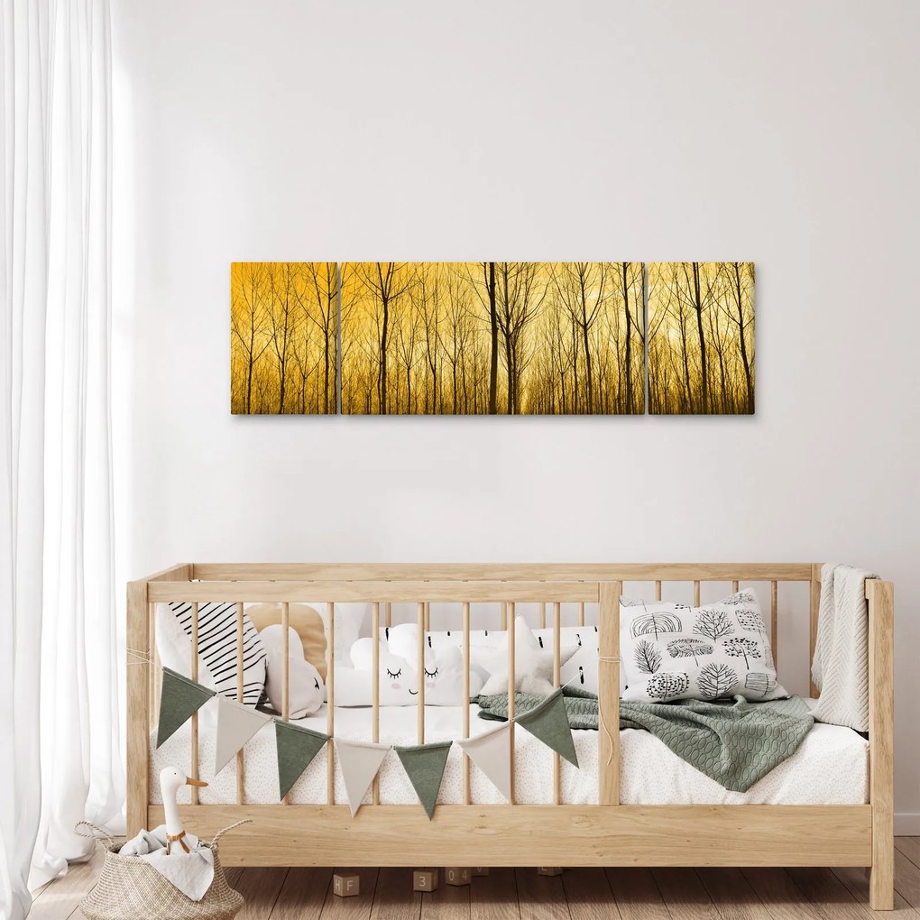 Obraz - Plantacja drzew (170x50 cm)