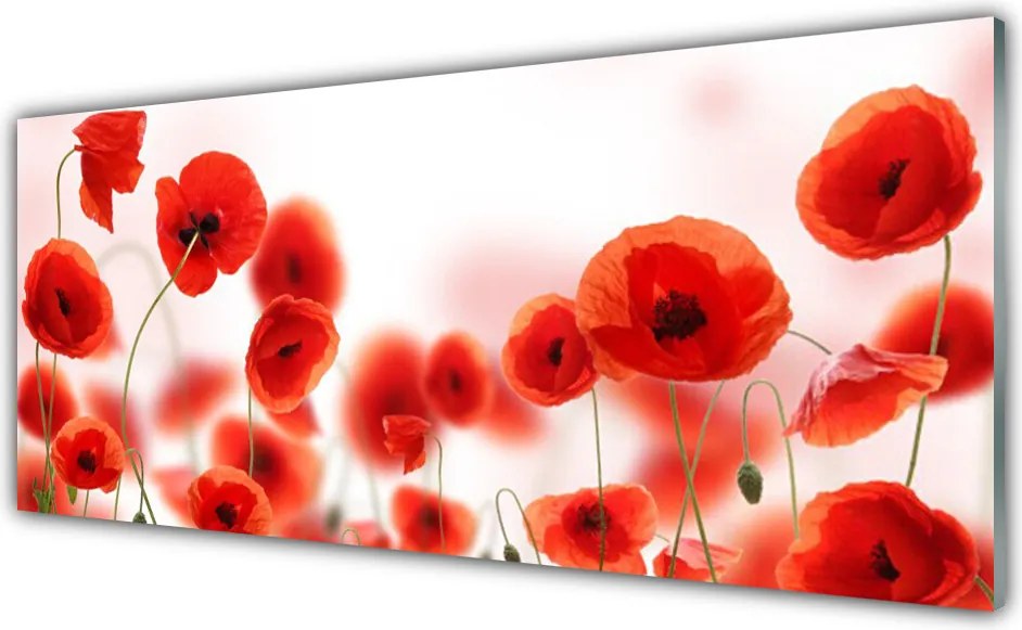 Panel Szklany do Kuchni Czerwone Maki W Polu