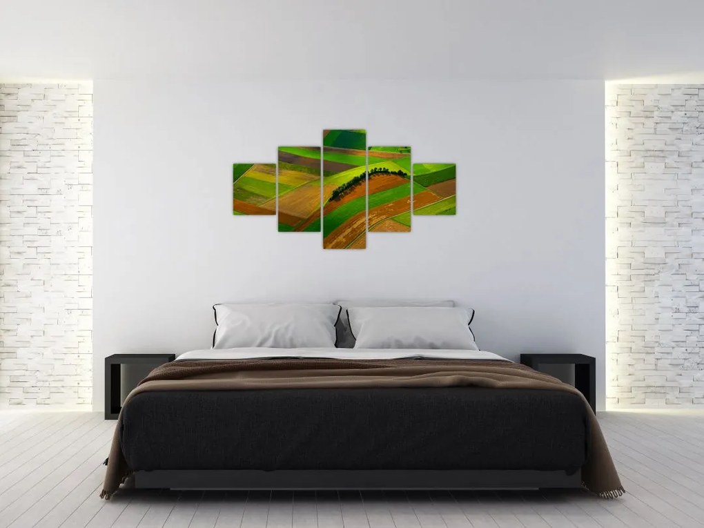 Obraz - Pola, łąki (125x70 cm)