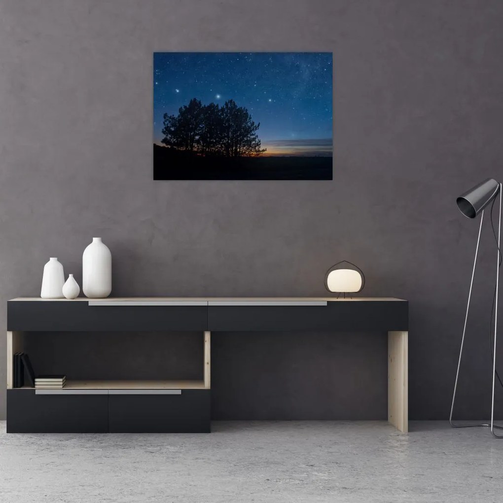 Obraz na szkle drzew w nocy (70x50 cm)