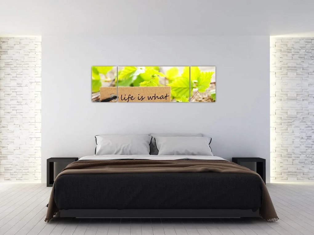 Obraz - Cytat (170x50 cm)