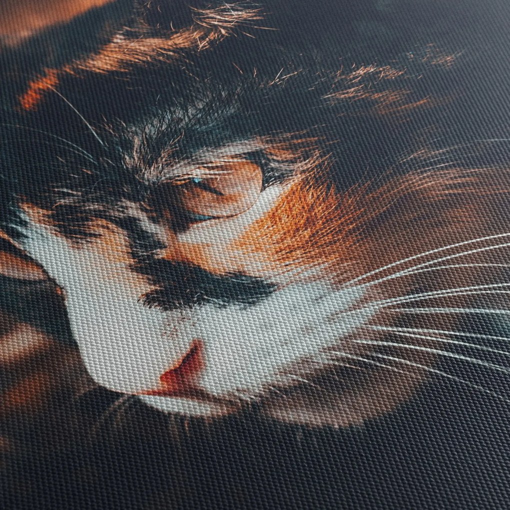 Obraz - Spojrzenie kota (z zegarem) (90x30 cm)