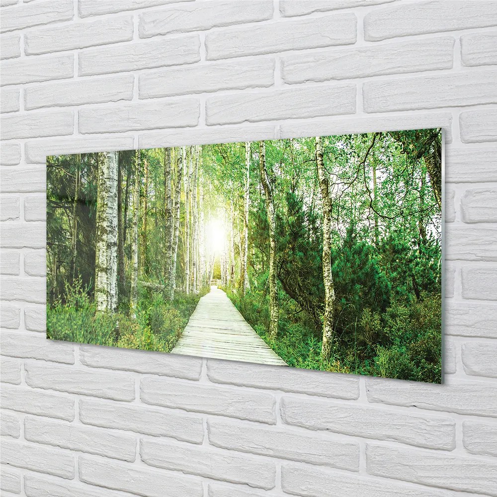 Szklany Panel Droga przez Las Brzozowy