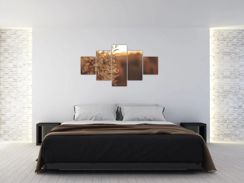 Obraz kwitnącej trawy (125x70 cm)