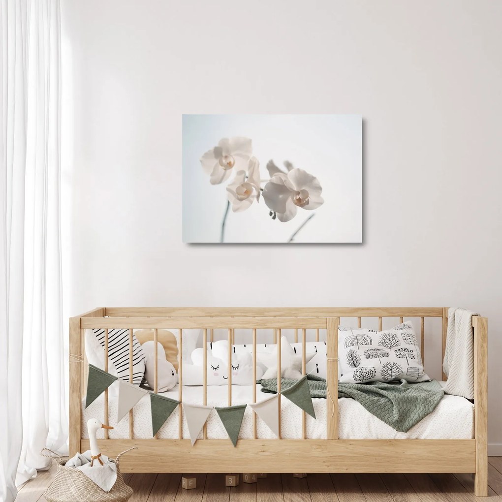 Obraz na szkle białej orchidei (70x50 cm)