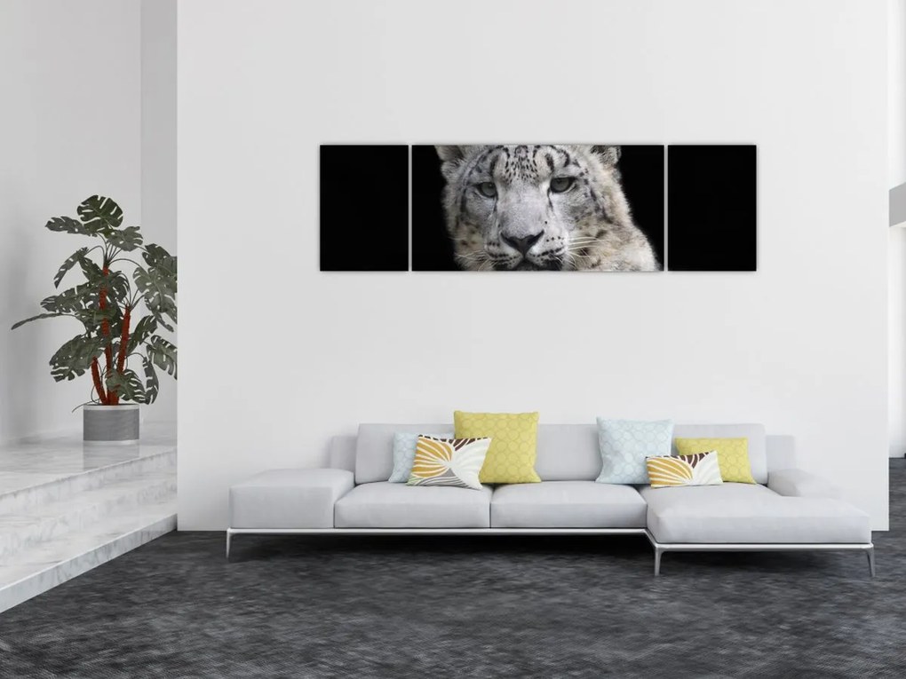 Obraz - Snow Leopard (170x50 cm)