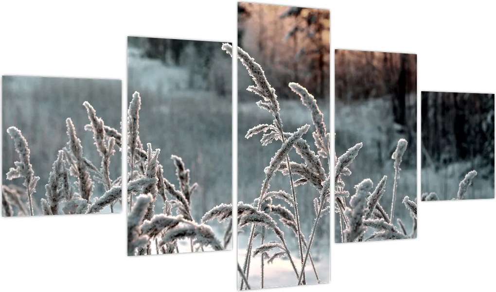 Obraz - Frozen Meadow (125x70 cm)