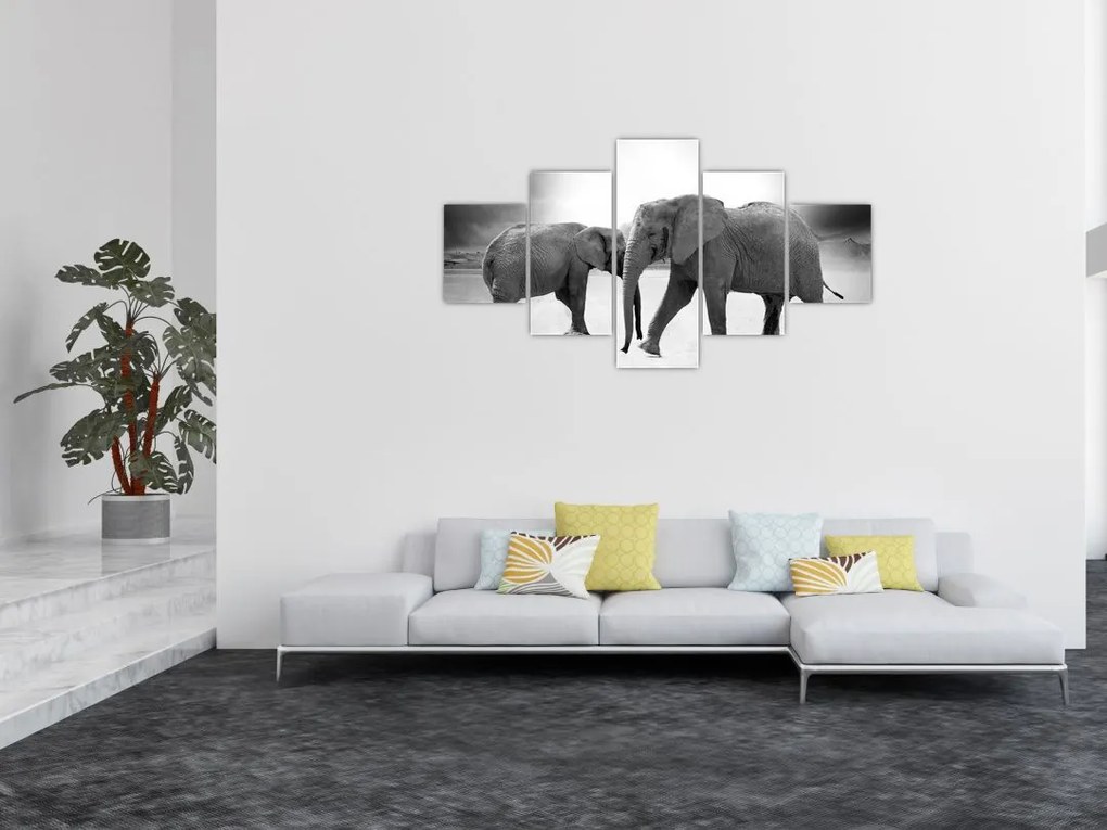 Obraz - czarno - białe słonie (125x70 cm)