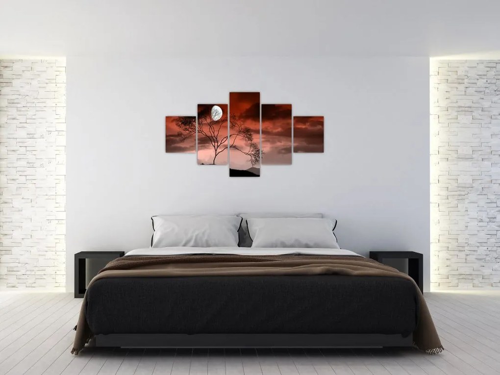 Obraz - Księżyc oświetlający noc (125x70 cm)