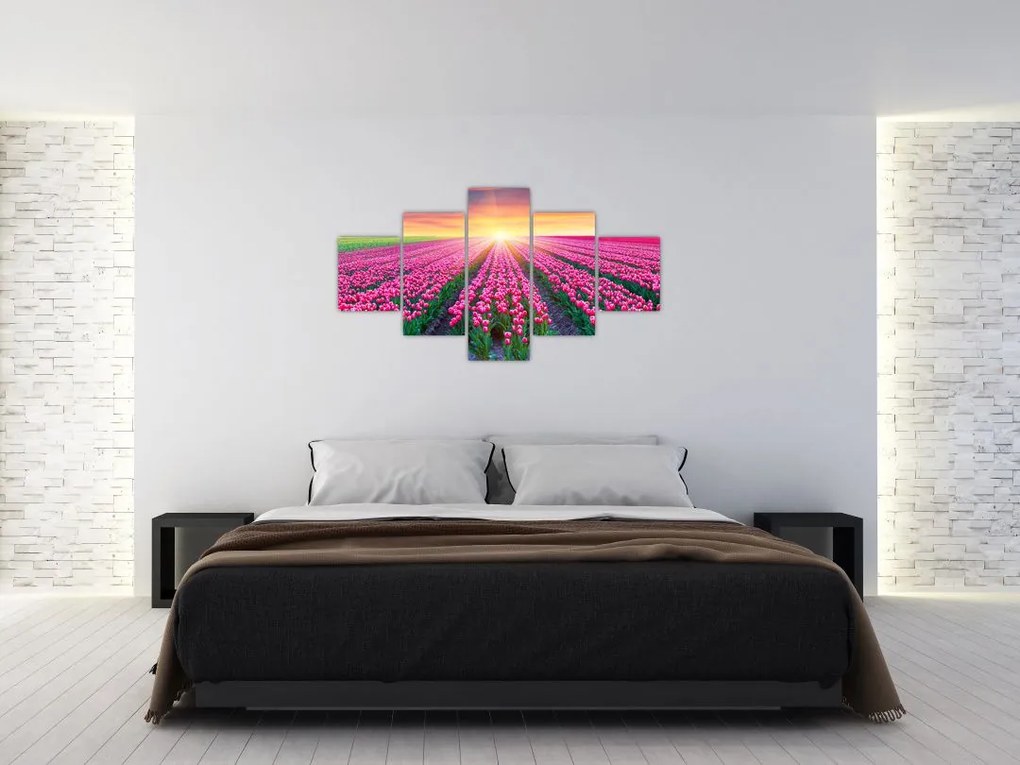 Obraz pole tulipanów ze słońcem (125x70 cm)