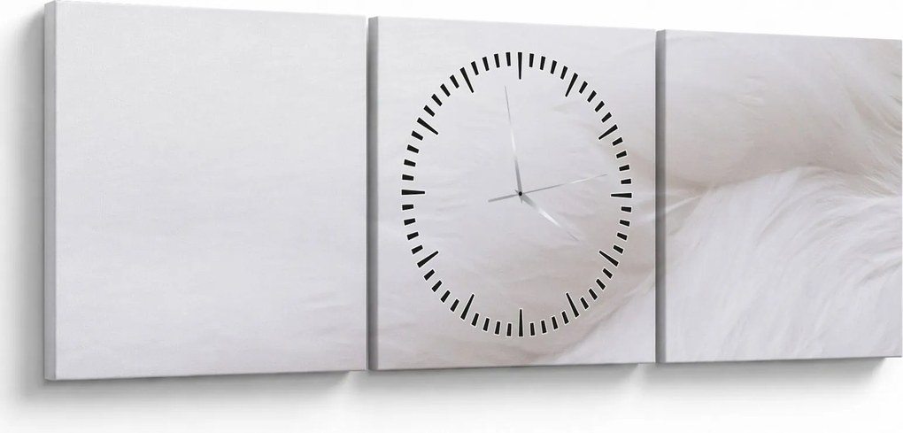 Obraz - Szczegół piórka (z zegarem) (90x30 cm)