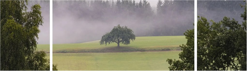 Obraz łąki z drzewem (170x50 cm)