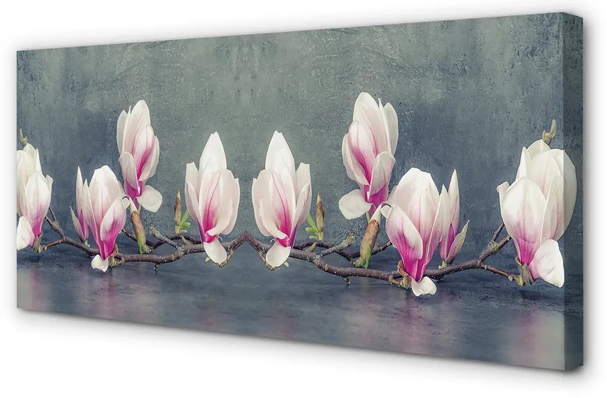 Duży obraz na płótnie Gałąź Magnolii