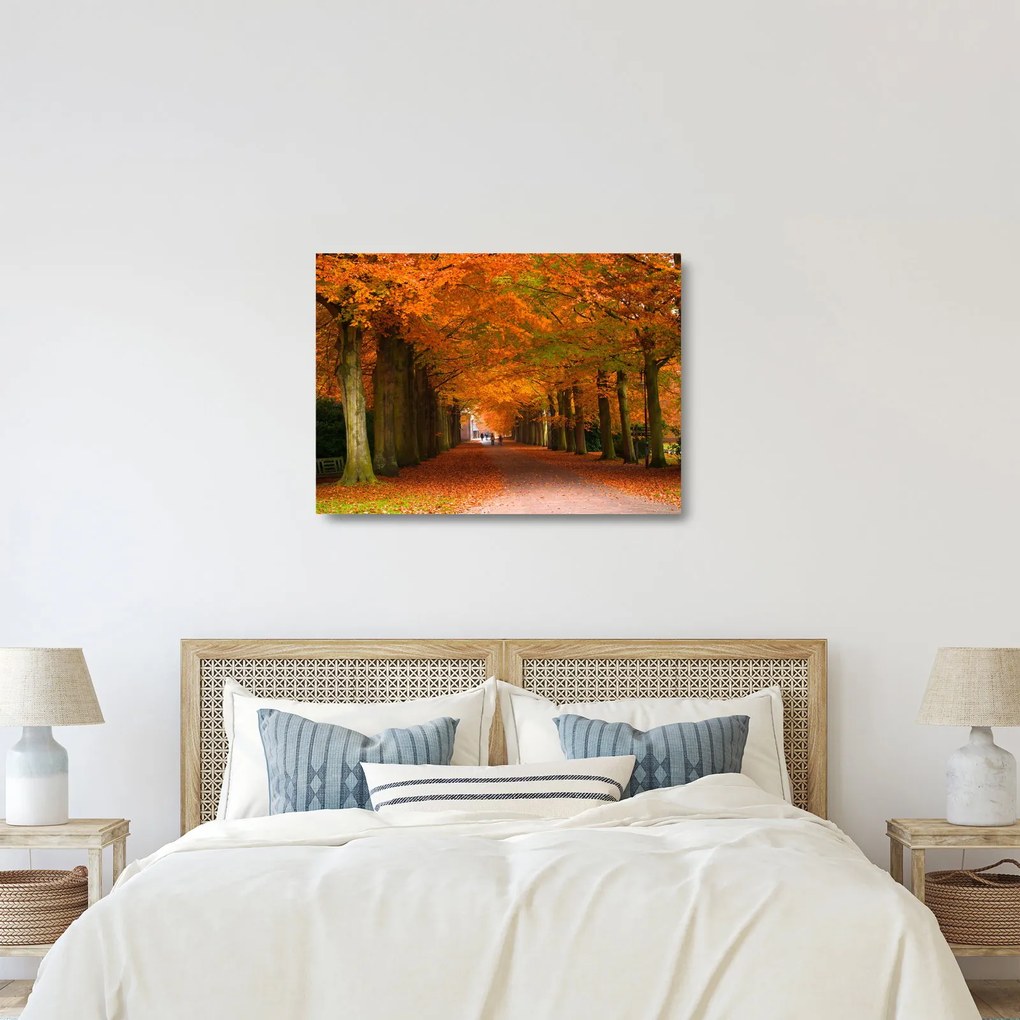 Obraz na szkle - Aleja drzew jesienią (70x50 cm)