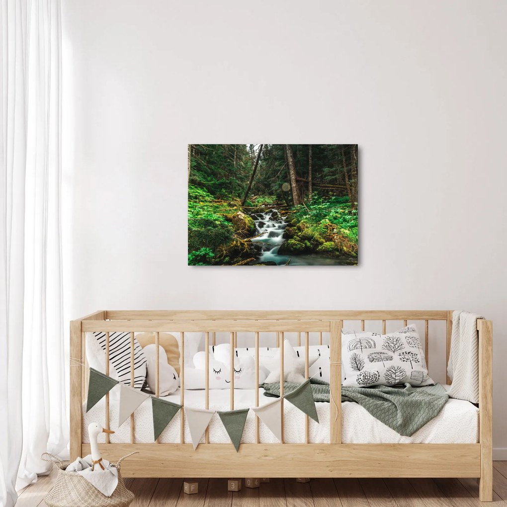 Obraz strumienia w lesie (70x50 cm)