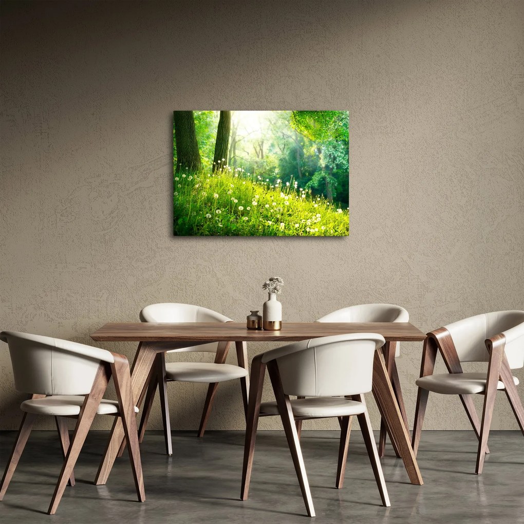 Obraz - Magiczna łąka pełna mniszków lekarskich (70x50 cm)