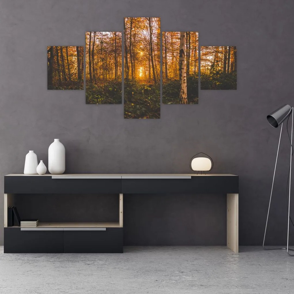 Obraz jesiennego lasu (125x70 cm)