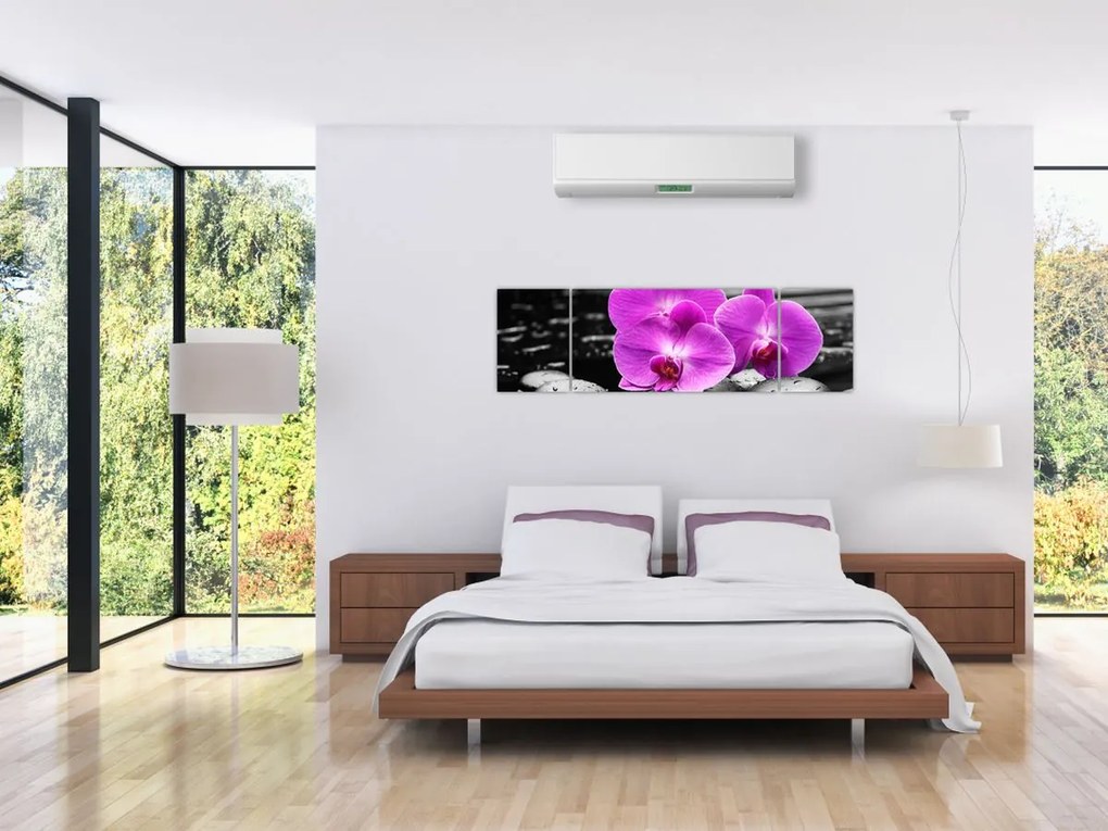 Obraz - Fioletowe orchidee (170x50 cm)