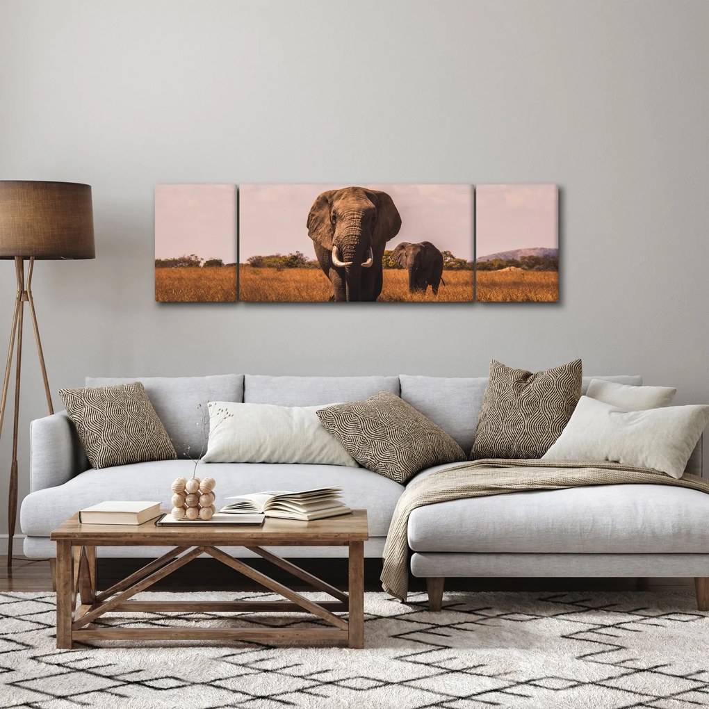 Obraz - Przybycie słonia (170x50 cm)