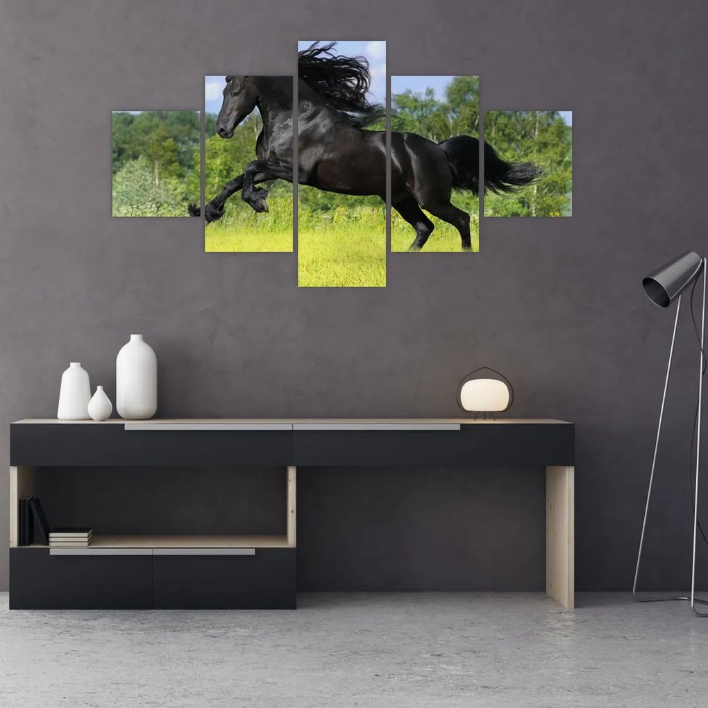 Obraz - Koń z płynącą grzywą (125x70 cm)