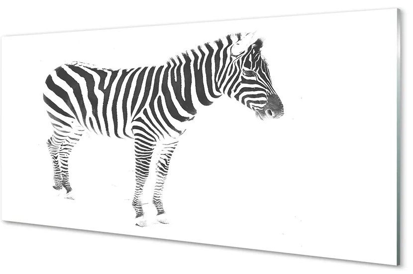 Obraz na szkle Malowana zebra