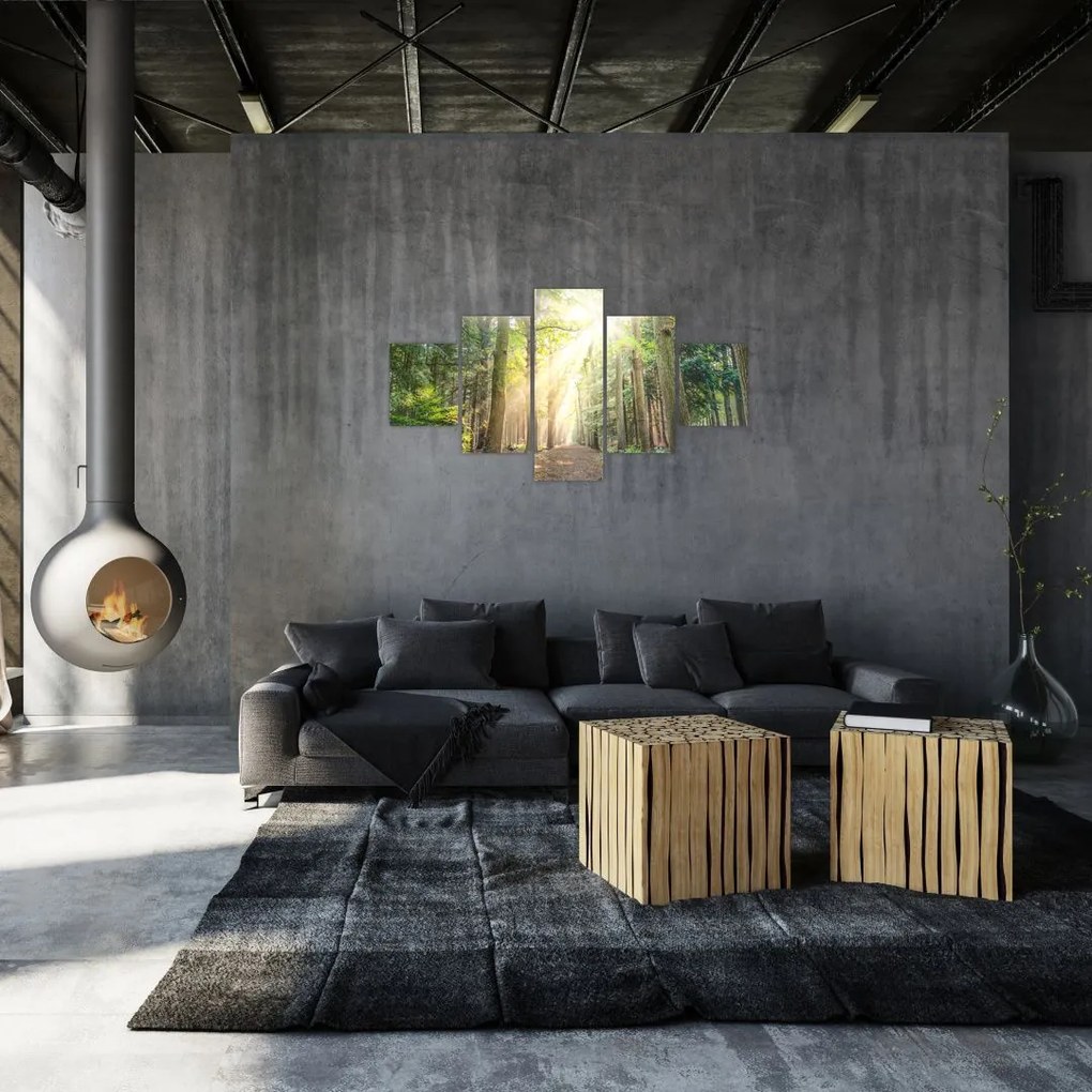 Obraz ścieżki w lesie (125x70 cm)