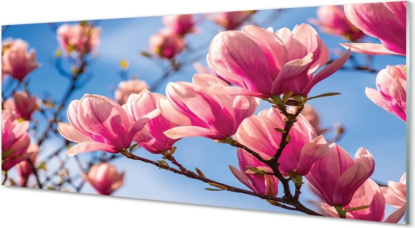 Panel Kuchenny Szklany Wiosenny Sad w Rozkwicie