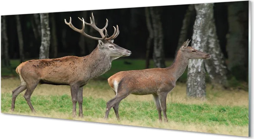 Panel Szklany Jeleń w Gęstwinie Leśnej