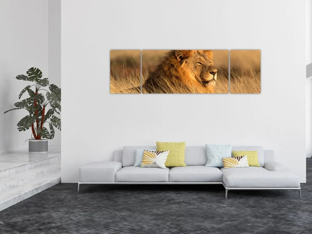 Obraz - Park Narodowy Etosha (170x50 cm)