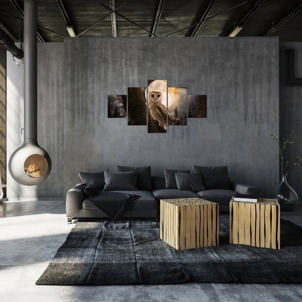 Obraz sowy palonej (125x70 cm)