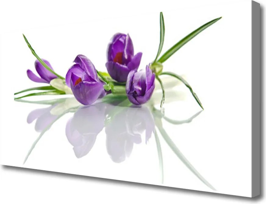 Zdjęcie na płótnie Botaniczny Ogród Kwiatowy