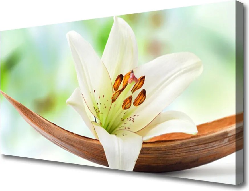 Obraz canvas Subtelny Pąk Kwiatowy