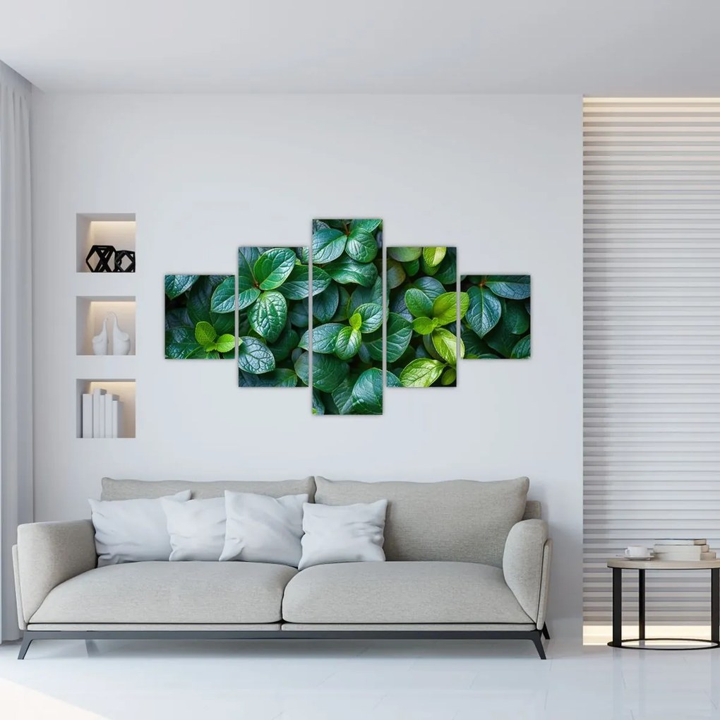 Obraz - Rośliny zielone (125x70 cm)